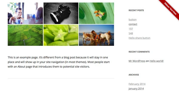 Ribbon Panel WordPress Plugin
